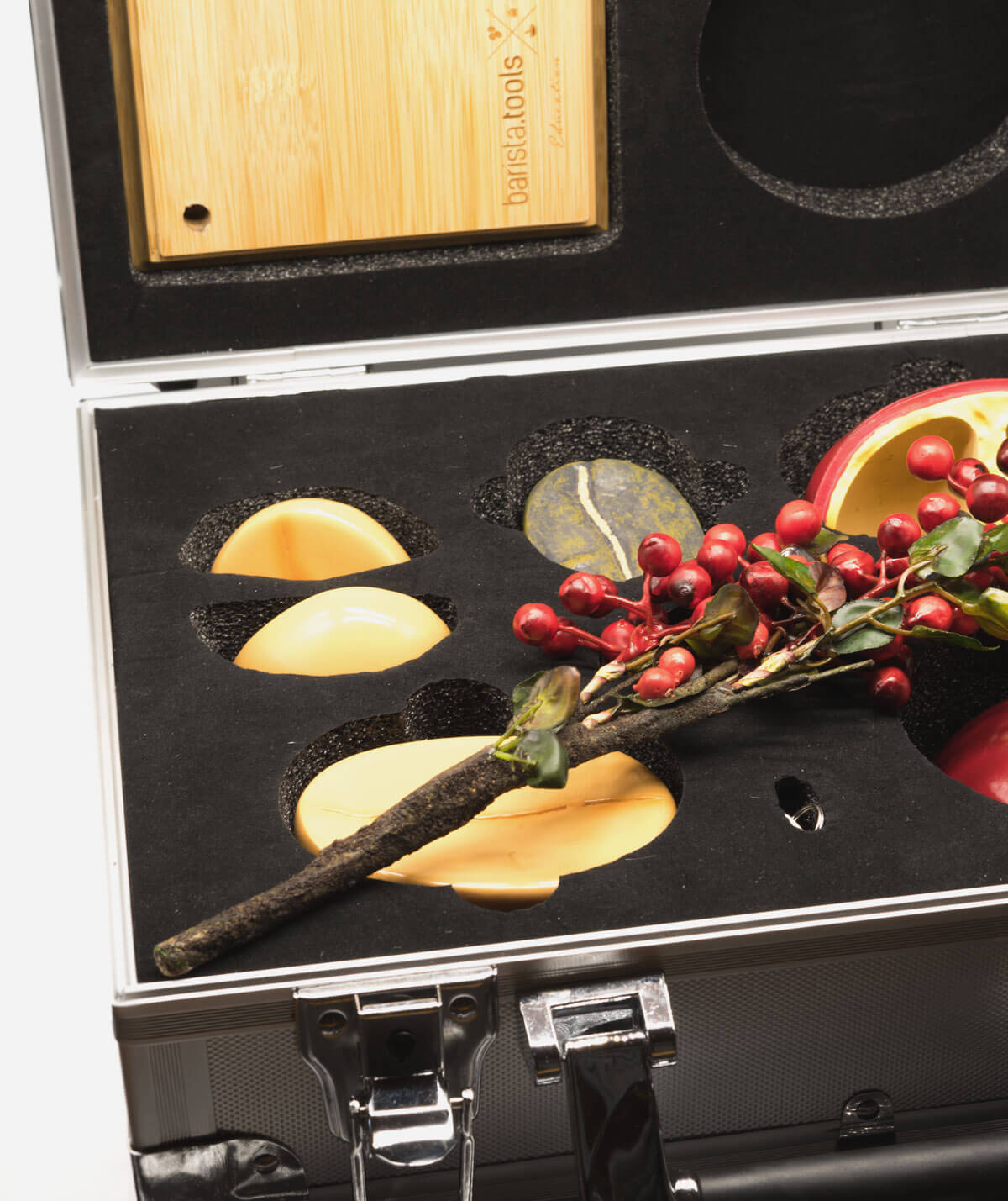 Kaffeekirschen und Bohnen Modell Sonderedition details