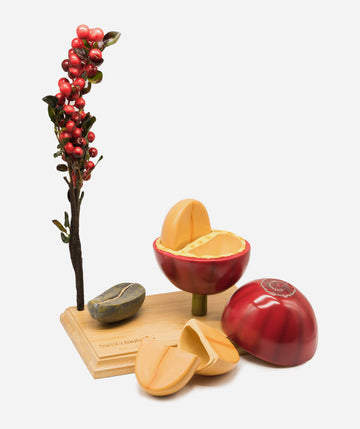 Kaffeekirschen und Bohnen Modell Sonderedition